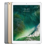 iPad Pro (12.9 Inch, 1st Gen)