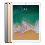 iPad Pro (12.9 Inch, 2nd Gen)