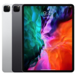 iPad Pro (12.9 Inch, 4th Gen)